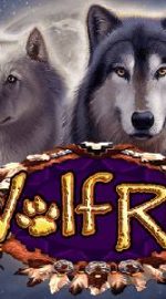 Grati u Online Slot Wolf Run - Ogliad, Demo, Bonusi