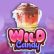 Zagraj na automacie Wild Candy Recenzja, bonusy | World Casino Expert Polska