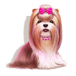 Symbole online slotu The Dog House - 2