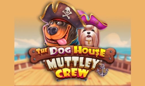 Zagraj w The Dog House Muttley Crew przegląd, bonusy | World Casino Expert Polska