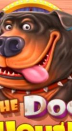 Zagraj na automacie online The Dog House - Bonusy, Demo, Recenzja