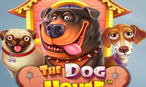 Zagraj w The Dog House przegląd, bonusy | World Casino Expert Polska