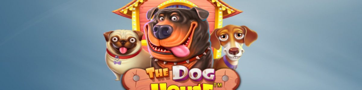 Zagraj w automat online The Dog House - bonusy, demo